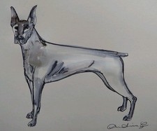 Original Small Hand Drawn Pen