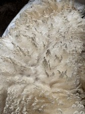 Raw Sheep’s Wool - Lovely
