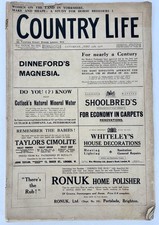 Country Life Magazine June 24th 1916 - Antique - A Study For Horse Breeders