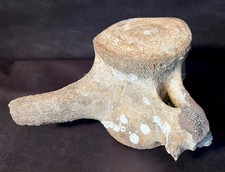 Large Fossilized Whale