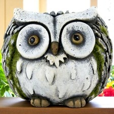 Cement Owl Planter Pot 15cm