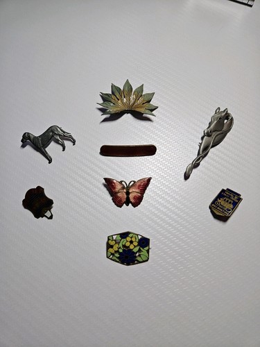 Job lot brooches - job,