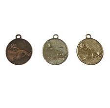 Silver Bronze Gold Medal Wild