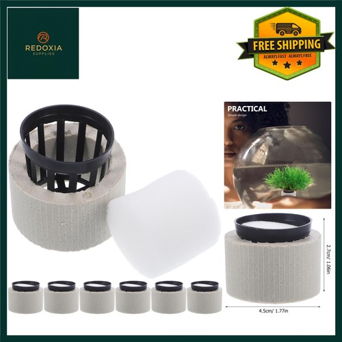 Secure aquarium plant - aquarium, holder
