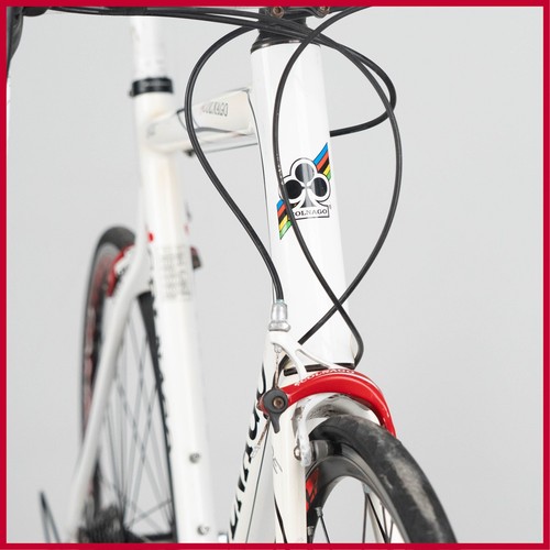 Colnago ace carbon - colnago,