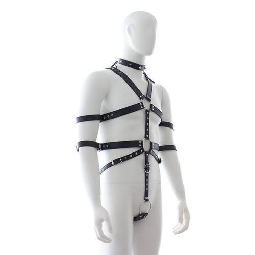 Male body harness bondage - male,