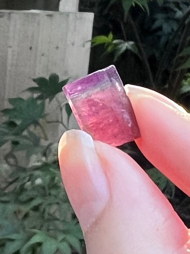 Watermelon tourmaline fine - tourmaline,