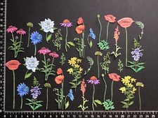Mixed Flowers Die Cuts From