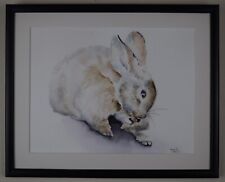 Young Rabbit cleaning it's