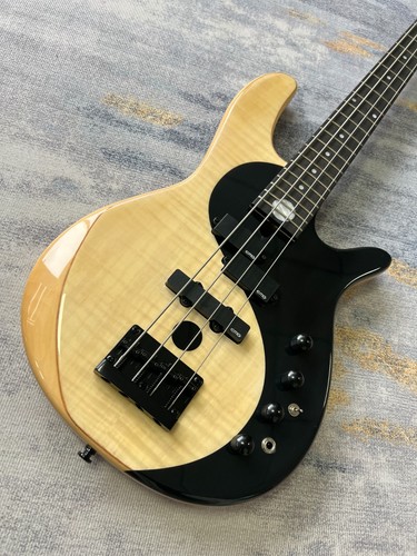 String electric bass guitar - string,
