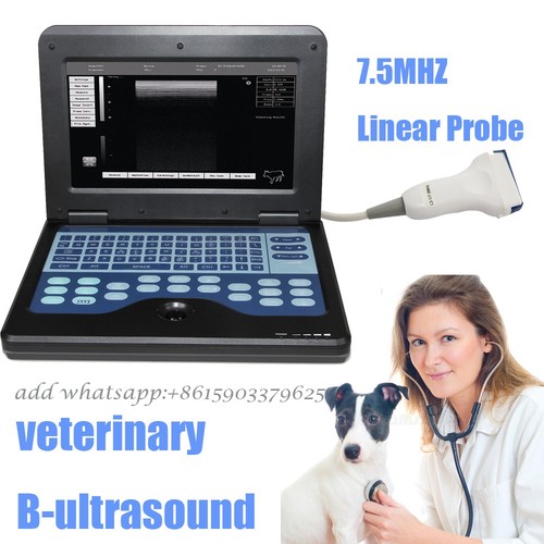 Digital portable ultrasound - ce,