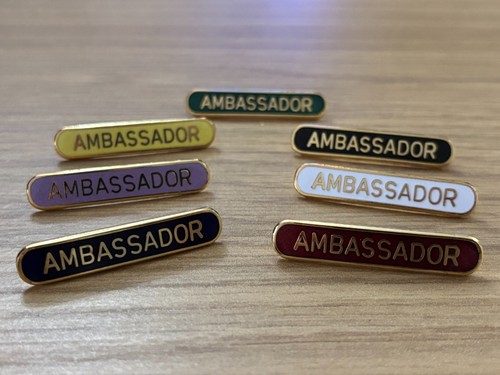 Ambassador scool bar pin badge - ambassador,
