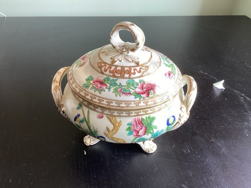 Coalport indian tree - coalport,