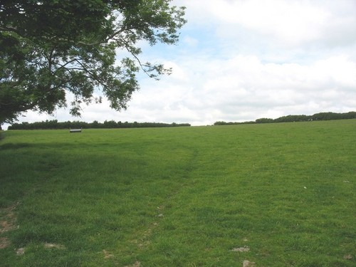 Photo 6x4 grazing land - photo,