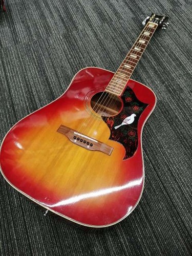 Aria wh25 acoustic guitar - aria,