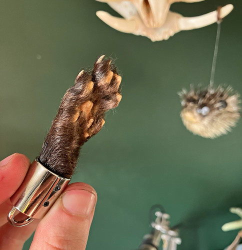 Taxidermy mink paw fur keyring - taxidermy,