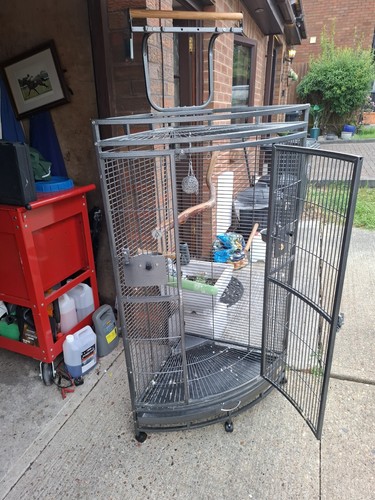 Parrot cage metal - parrot,
