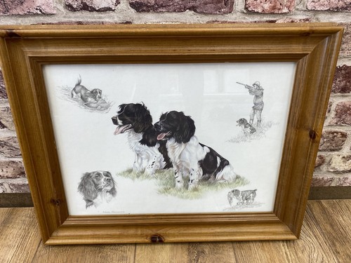 Nigel hemming prints spaniels - prints,