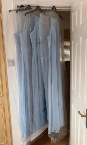 Pale blue bridesmaid dresses - pale,