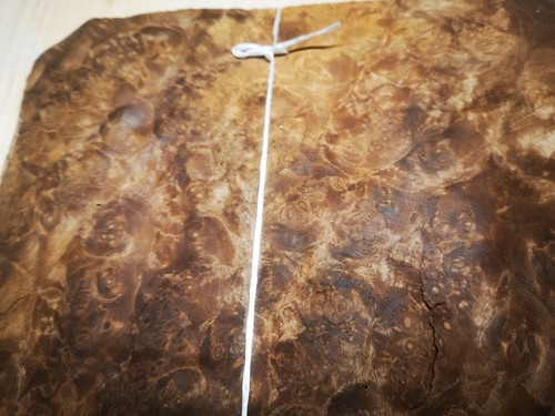 Burr burl walnut veneer 27 - ,