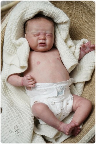 Studio doll boy - studio-doll, reborn