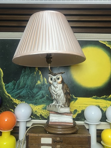 Great horned owl books - on,