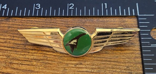 Defunct airline pilot wings - pilot,