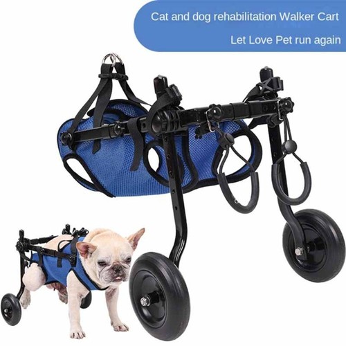 Adjustable dog - adjustable,