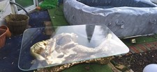 coffee table Mermaid rrp 645 