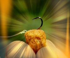 Carp Fishing Floating Pellets