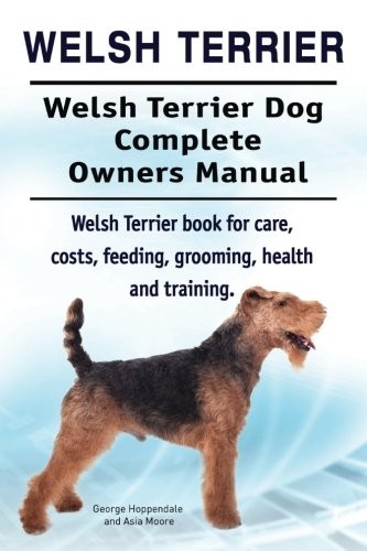 Welsh terrier - welsh,