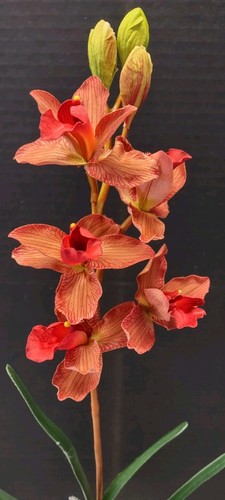 Artificial cymbidium orchid - artificial,