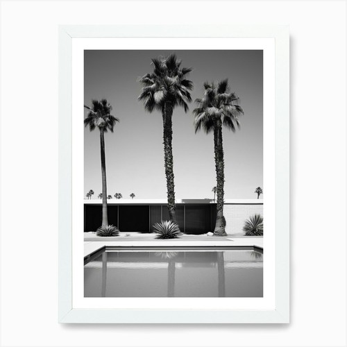 Palm springs black and white - black,