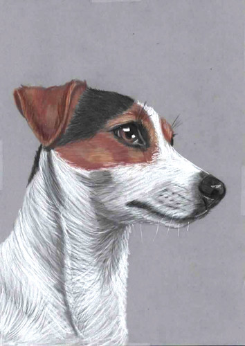Original colour pencil artwork