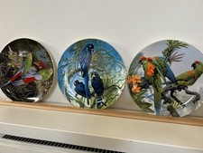 5xWedgwood Fragile Paradise Series Limited Edition Plates Macaws Parrot Design