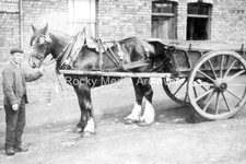 Ewq-88 Shire Horse And Cart, Birtley, Co Durham. Photo