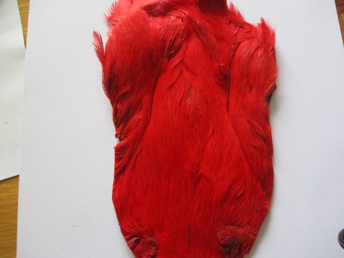 Hen neck cape - cape, indian