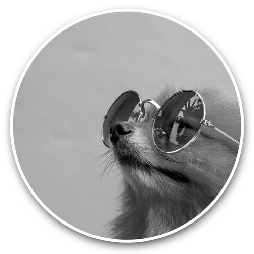 Vinyl stickers 10cm - stickers,