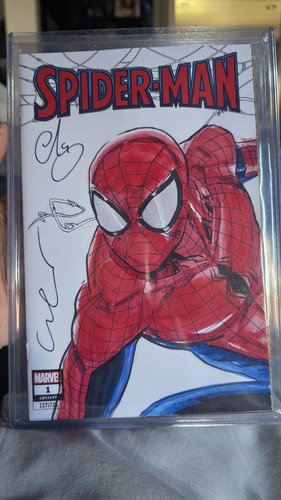 Spiderman blank sketch - blank,