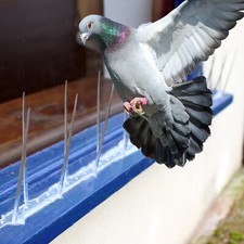 Bird Pigeon Plastic Spikes 5m