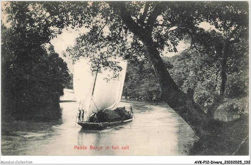 Avkp12 0725 sri lanka padda - -,