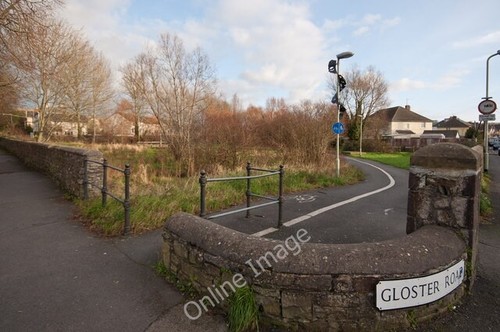 Photo 6x4 portmarsh field - photo,