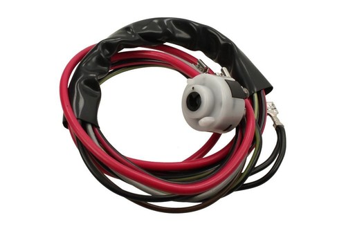 Ignition switch and loom - switch,
