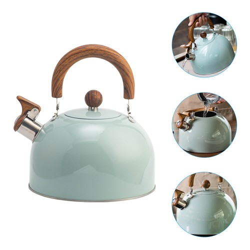 Stainless steel tea kettle - stainless,
