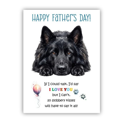 Belgian sheepdog father - belgian,