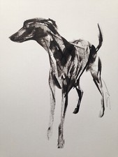 Original signed Ink sketch of
