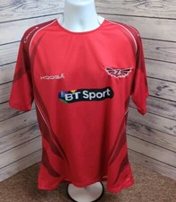 Llanelli Scarlets Home Rugby