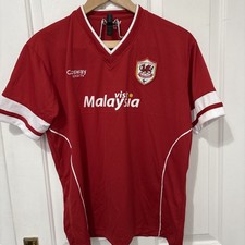 Cardiff City FC 2014-2015 Home