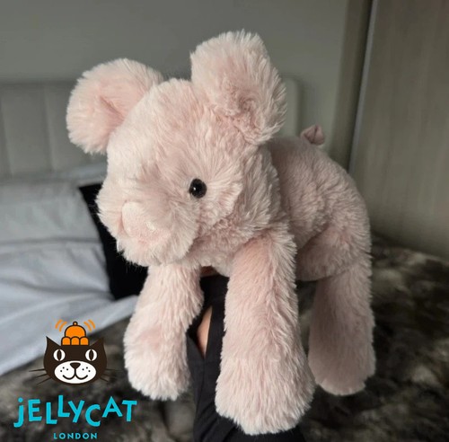 Jellycat bnwt soft - bnwt,