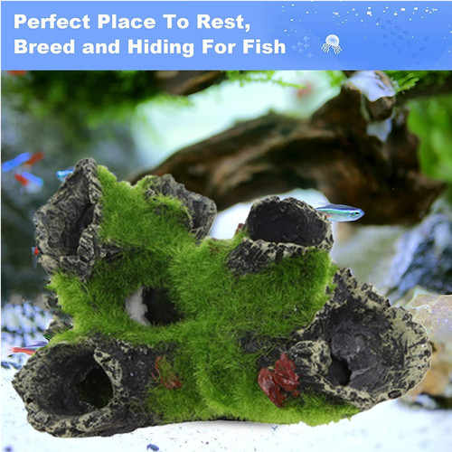 Aquarium driftwood decoration - driftwood,